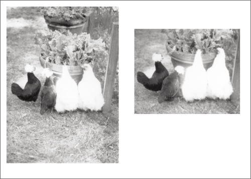 Jochen Lempert - Local Ecology - Moulin des Ribes Jochen Lempert - Local Ecology - Moulin des Ribes