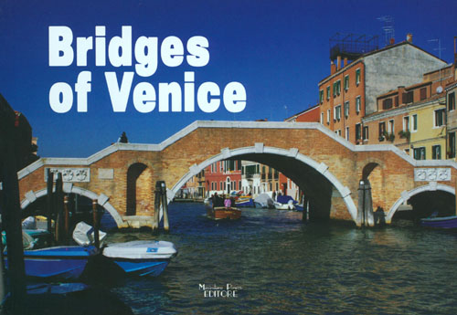 Bridges Of Venice - Street View