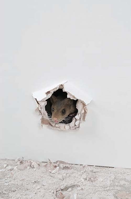 Ryan Gander - The Markers of Our Time Ryan Gander - The Markers of Our Time