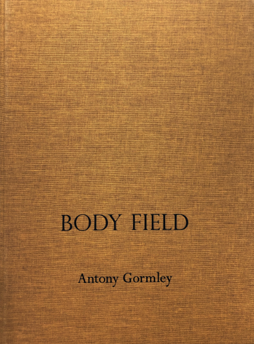 Antony Gormley - Body Field