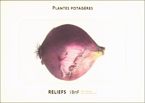 Album Vilmorin: Plantes Potagères