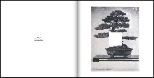 Jan S. Hansen – Tetra AL