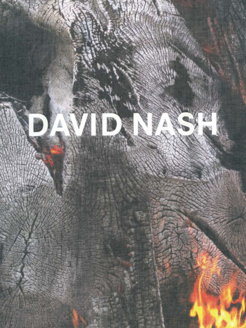 David Nash - Wood, Metal, Pigment
