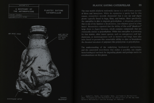 A Bestiary of the Anthropocene A Bestiary of the Anthropocene