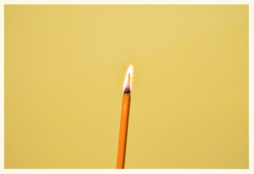 Aya Fujioka – Life Studies