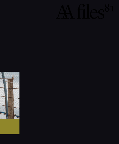 AA Files - 81 AA Files - 81