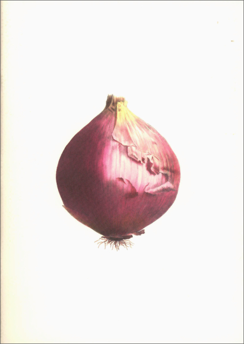 Notebook Plants and Vegetables
