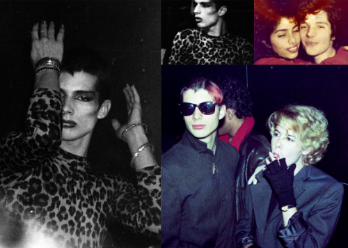 Ariel Semmel - Penguin People 2