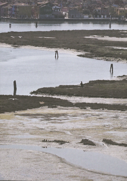 Urban Shores - Towards Landscape-Based Coastal Adaptation