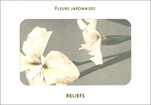 Japanese Flowers: Postcards