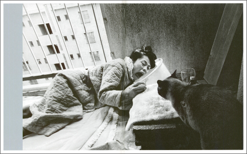 Masahisa Fukase – Homo Ludens Masahisa Fukase – Homo Ludens