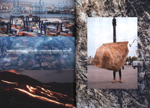 Artistic Ecologies - New Compasses and Tools Artistic Ecologies - New Compasses and Tools
