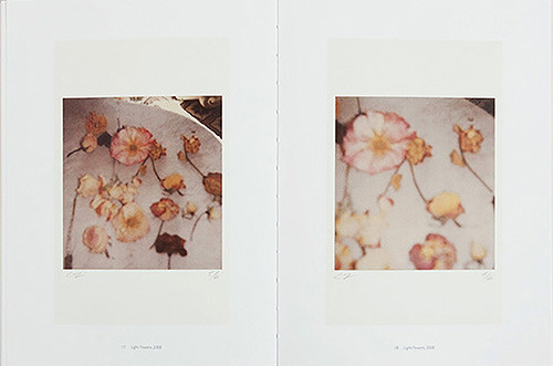 Cy Twombly: Photographs Volume 2 Catalogue