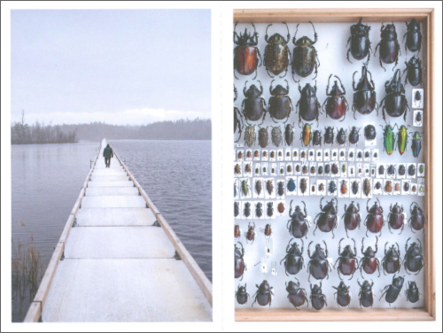 Landscape of Defence: Latvia - Postcards from the Borderland’ Landscape of Defence: Latvia - Postcards from the Borderland’