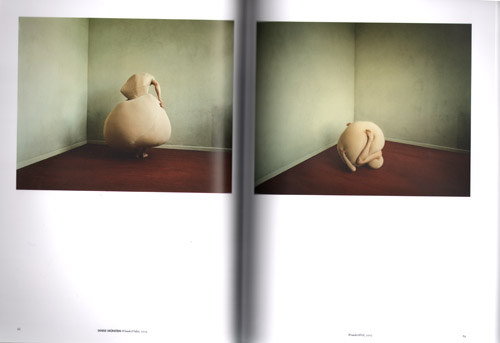 The Visible - Contemporary Swedish Photography The Visible - Contemporary Swedish Photography
