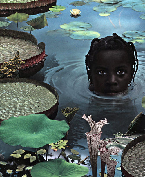 Ruud Van Empel - 25 Years Of Photo Works 1995-2020 Ruud Van Empel - 25 Years Of Photo Works 1995-2020