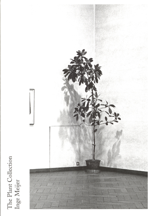 Inge Meijer - The Plant Collection