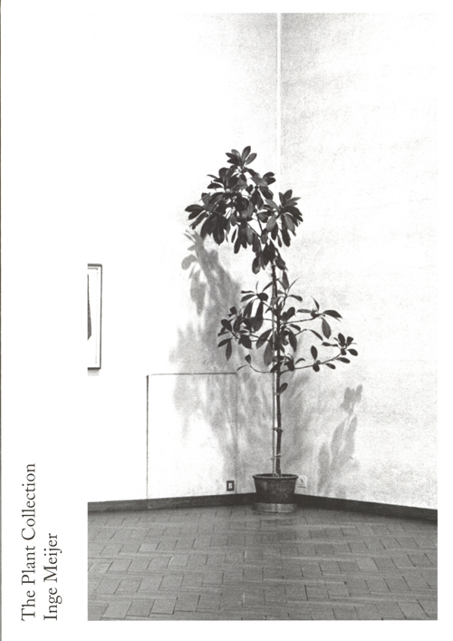 Inge Meijer - The Plant Collection Inge Meijer - The Plant Collection