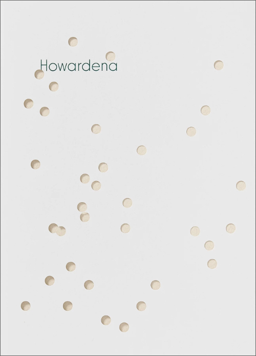 Howardena Pindell - Howardena
