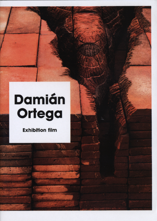Damian Ortega States Of Time dvd