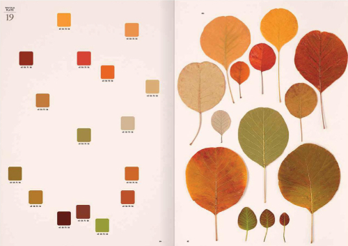 Chromatic Herbarium