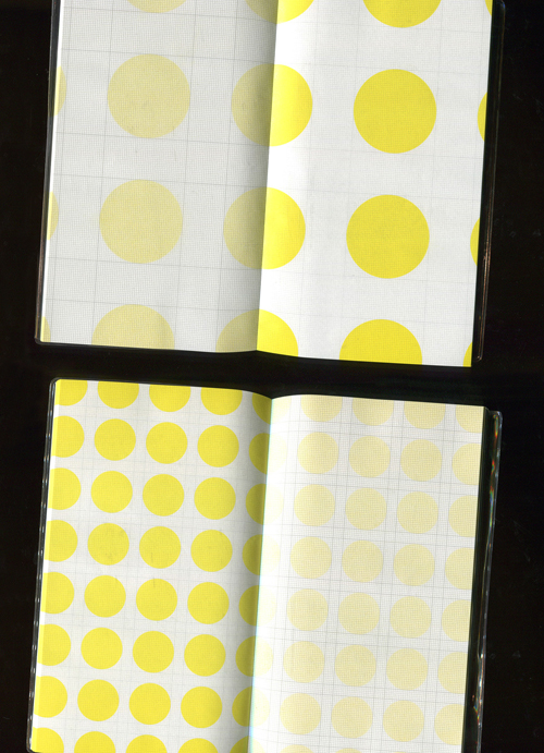 The Experimental Notebook Dot Study (D) Yellow
