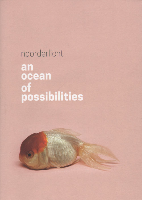 An Ocean Of Possibilities