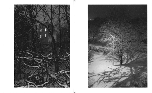 Ed Panar –  Winter Nights, Walking