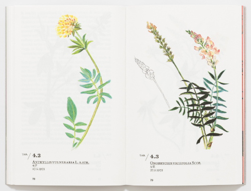 Ernesto Schick - Railway Flora Ernesto Schick - Railway Flora