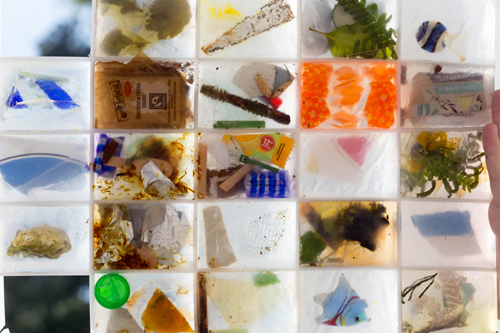 Swamps and the New Imagination - On the Future of Cohabitation in Art, Architecture, and Philosophy Swamps and the New Imagination - On the Future of Cohabitation in Art, Architecture, and Philosophy