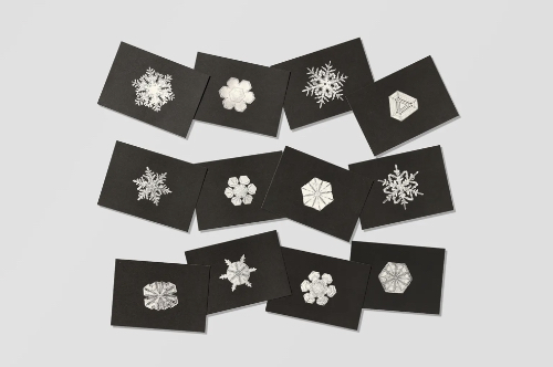 Snowflakes 1890-1930 Postcards