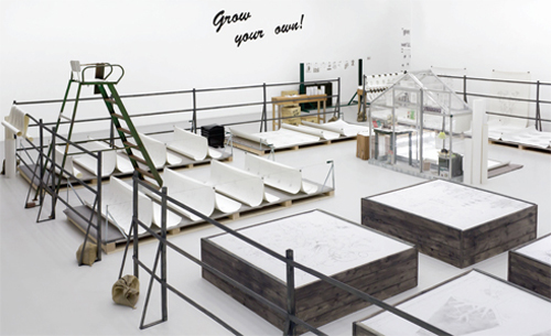 Grow Your Own - Stephanie Nava Considering Some Drawings