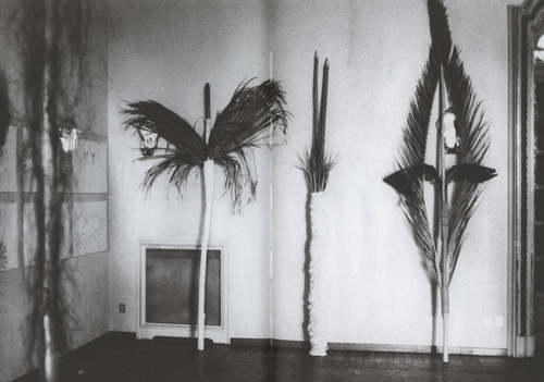 Hannah Villiger: Roma And Afterwards Hannah Villiger: Roma And Afterwards