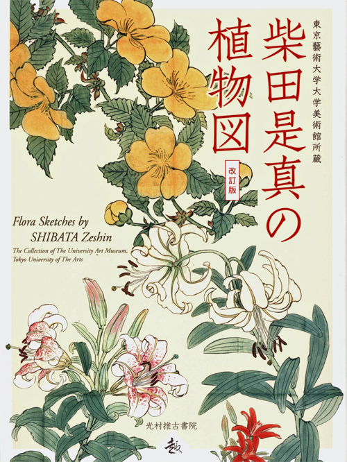 Flora Sketches By Shibata Zeshin - Collection Of The University Art Museum Tokyo