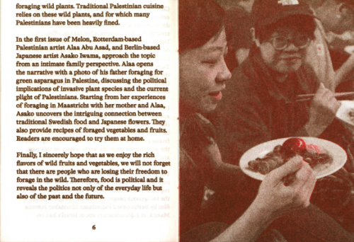 Melon 1: On Foraging in Palestine & Maastricht Melon 1: On Foraging in Palestine & Maastricht