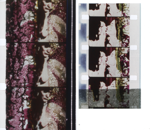 Peggy Ahwesh - Vision Machines Peggy Ahwesh - Vision Machines