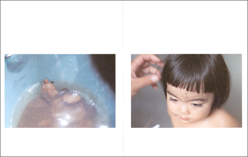 Rinko Kawauchi – as it is Rinko Kawauchi – as it is