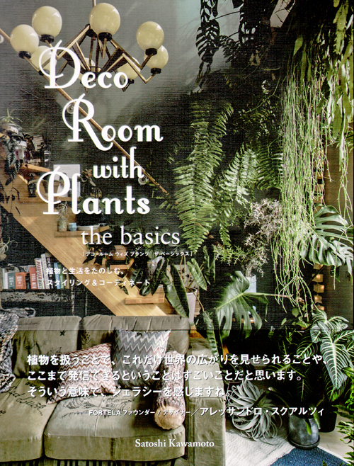 Deco Room With Plants - The Basics