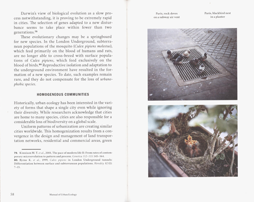 Manual Of Urban Ecology