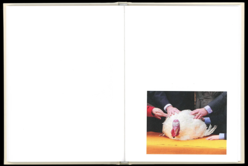 Gardar Eide Einarsson – Pardon Me