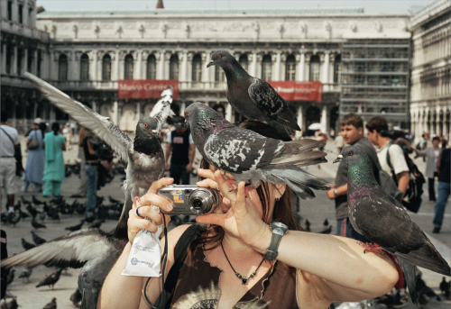 Martin Parr – Animals Martin Parr – Animals