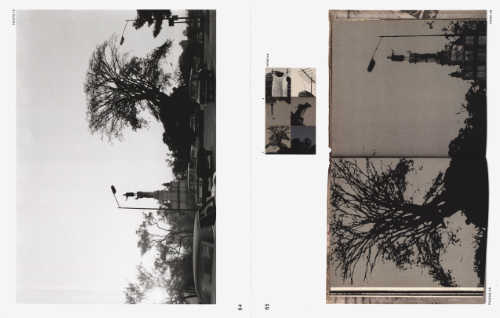 Deconstructing Sistema Nervioso by Lange, Brandli & Chalbaud Deconstructing Sistema Nervioso by Lange, Brandli & Chalbaud
