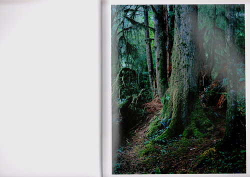 Yoshihiko Ueda - Forest Impressions And Memories, 1989-2017