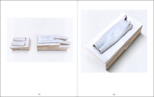 Lucy Skaer – The Truth and Untruth of Stones