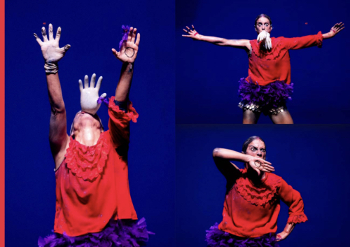 Troubling the Stage: The Choreogrphic Work of Marlene Monteiro Freitas