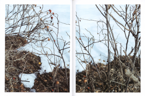 Il Roseto - Exercises on Small Places Il Roseto - Exercises on Small Places