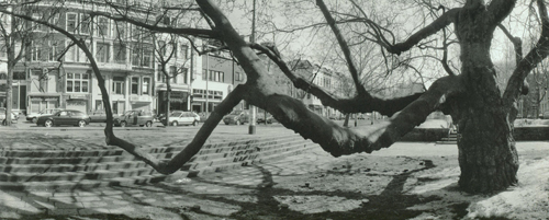 Otto Snoek - Rotterdam Vruchtbare Grond