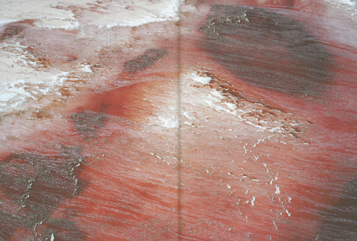 Fazal Sheikh: Thirst – Great Salt lake Fazal Sheikh: Thirst – Great Salt lake