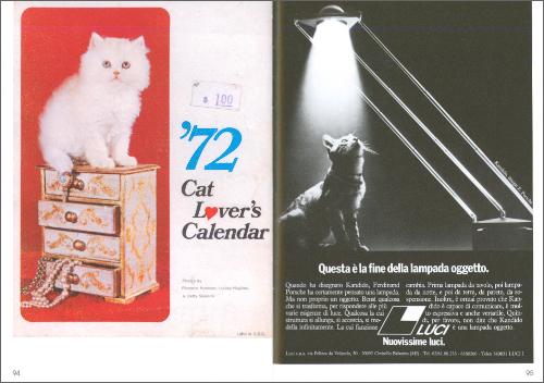 Alberto Vieceli – More Than Cat Food