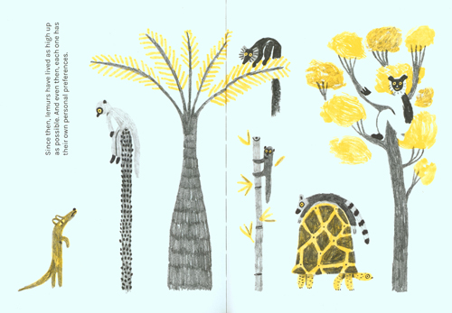 Andrea Antinori - On The Lives Of Lemurs Andrea Antinori - On The Lives Of Lemurs